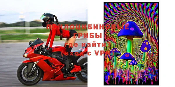 сатива Елизово