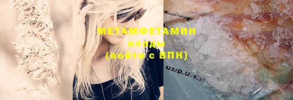 сатива Елизово