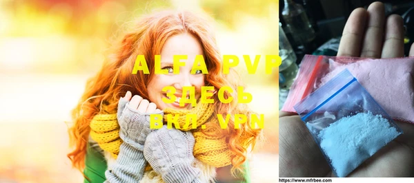 сатива Елизово